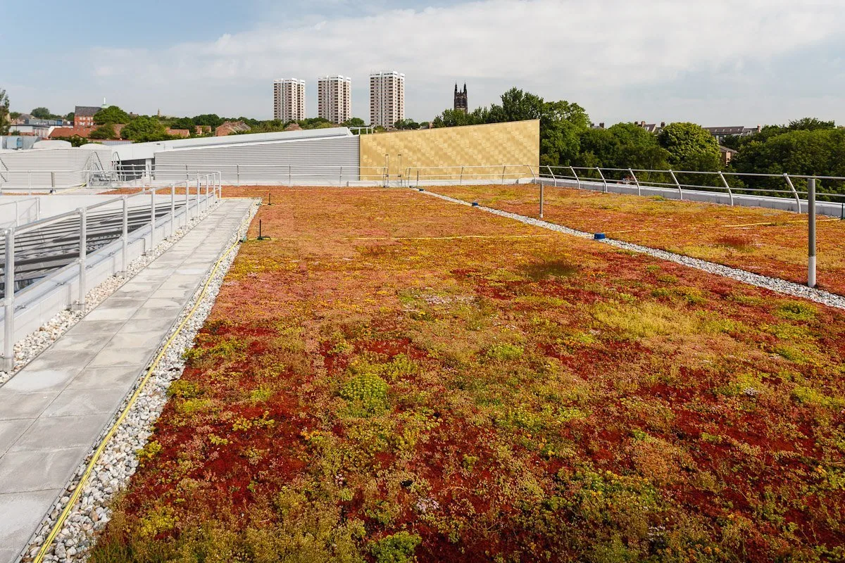 Infrared Roof Moisture Survey